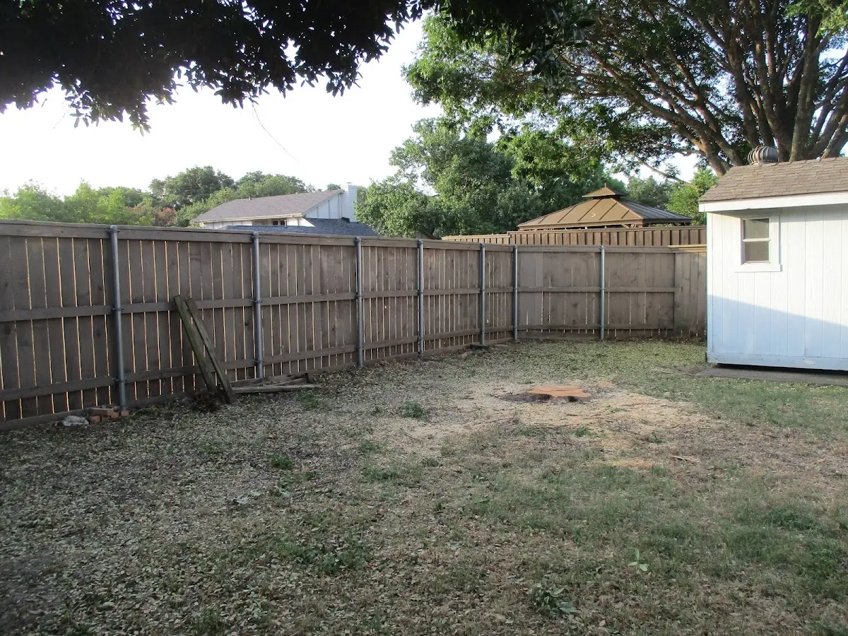 Cleared yard after professional tree removal in Saylorsburg